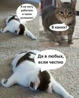 Трудоголизм сокращает жизнь на 25 лет: важные выводы для здоровья